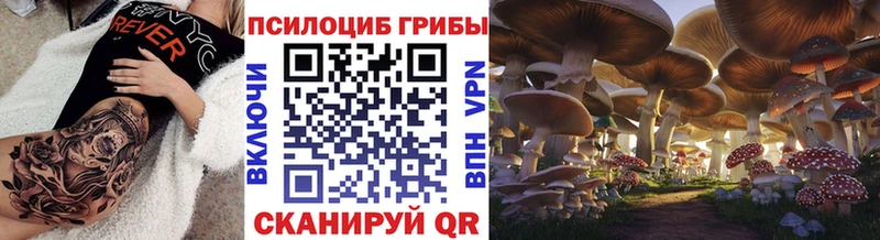 Псилоцибиновые грибы Psilocybine cubensis  Сухой Лог 