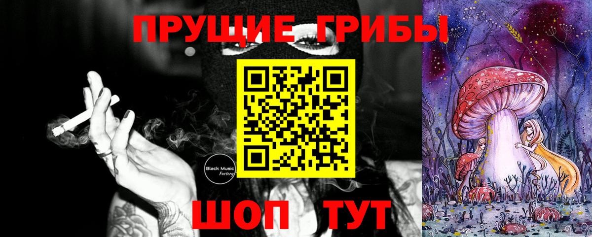 Псилоцибиновые грибы GOLDEN TEACHER  Вход с VPN  Сухой Лог 