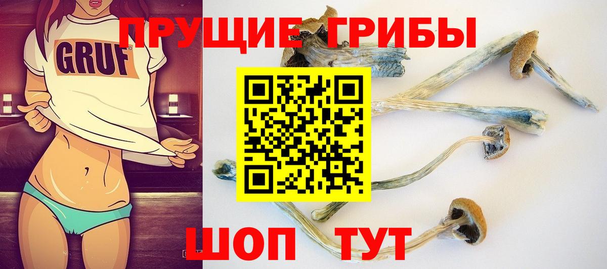 Галлюциногенные грибы Cubensis Сухой Лог